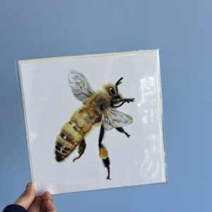 8x8 Honeybee Illustration Print